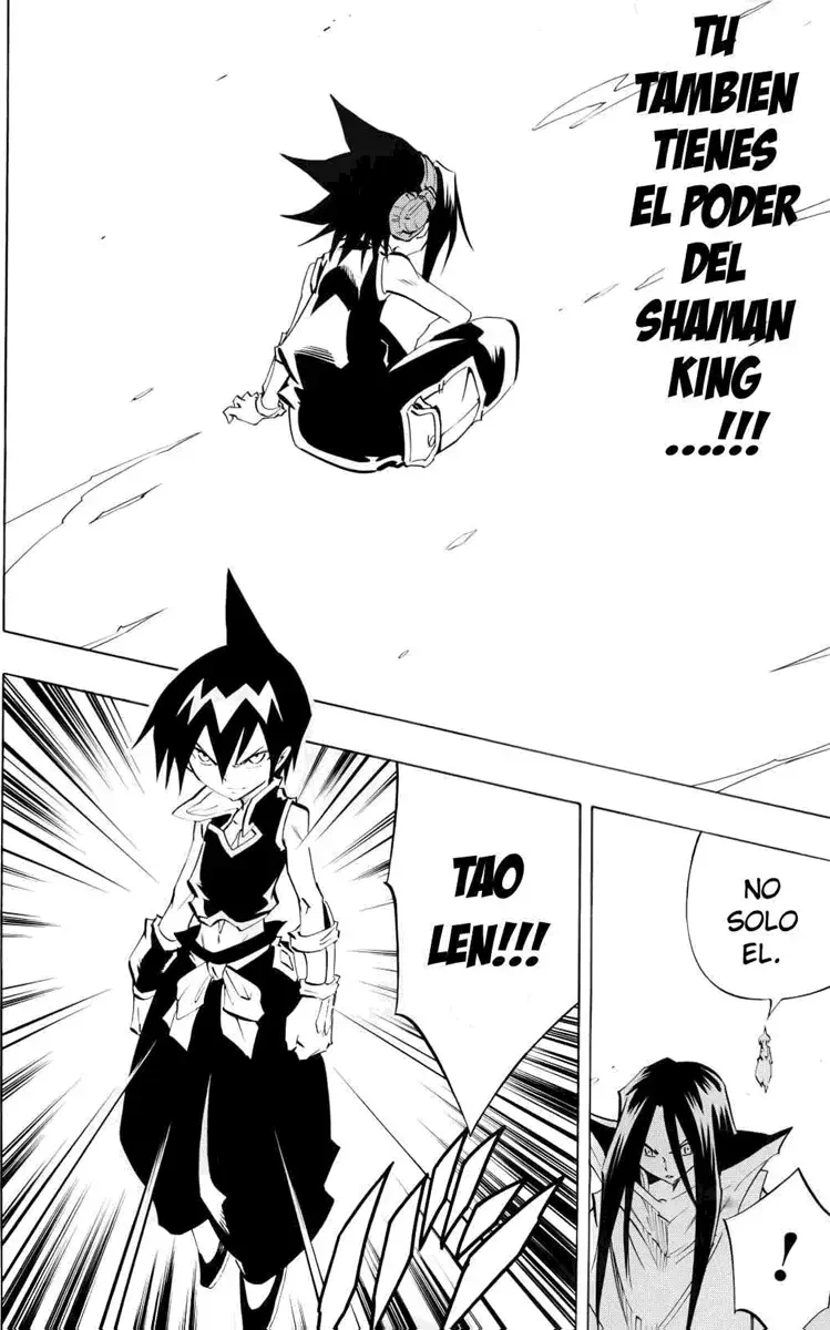 Shaman King (Kanzenban Edition) Capítulo 298 - página 12