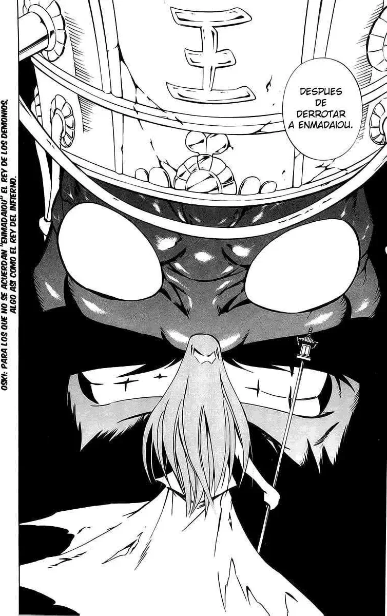 Shaman King (Kanzenban Edition) Capítulo 282 - página 29